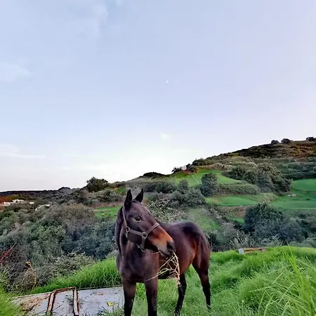 Casa Juana